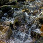 ручей возле Синевира