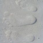 ein Spaziergang durch den Sand von Kinburn