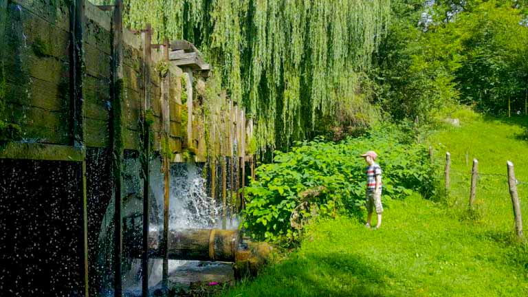 Кузня-музей «Гамора»