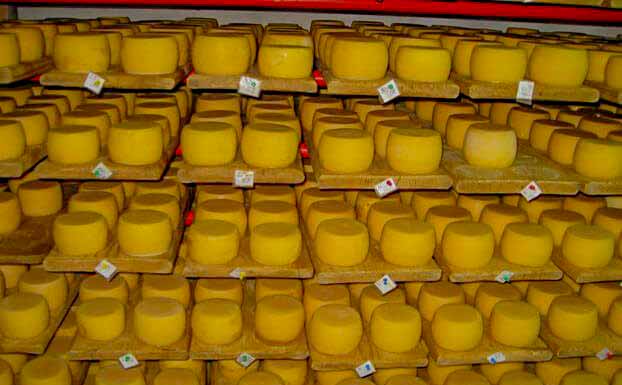 Сироварня в Нижньому Селищі Сироварня в Нижньому Селищі