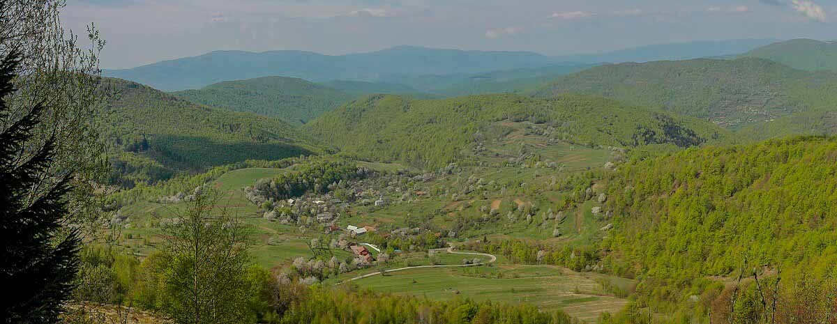 Вид на село Лікіцари