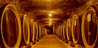 Середнянське вино. Історія і сучасність Кадки в середнянських винних підвалах