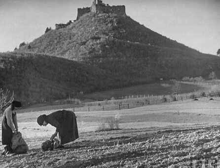 Хустський замок в квітні 1938 році
