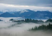 Краса Яблуницького перевалу Види Яблуницького перевала