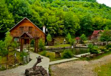 Курорт «Воєводино» Курорт Воєводино