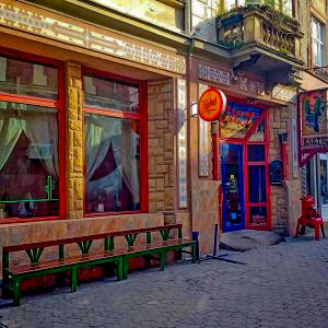Кафе Кактус в Ужгороде