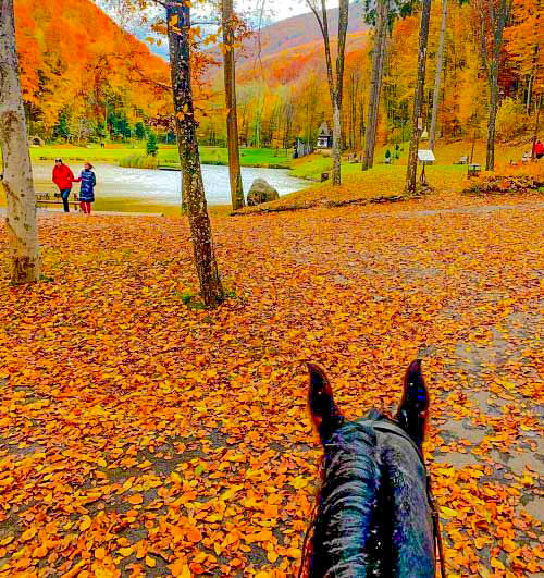 Horse riding in Voevodino