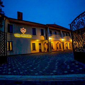 Minihotel Villa Mitades, Kosyno