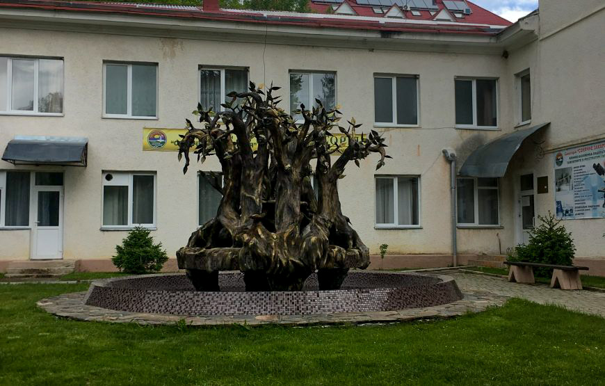 Sanatorium «Sonyachna Polyana»