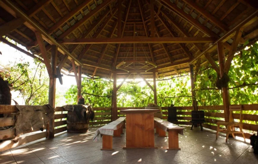 Guest house «Polychko Winehouse»