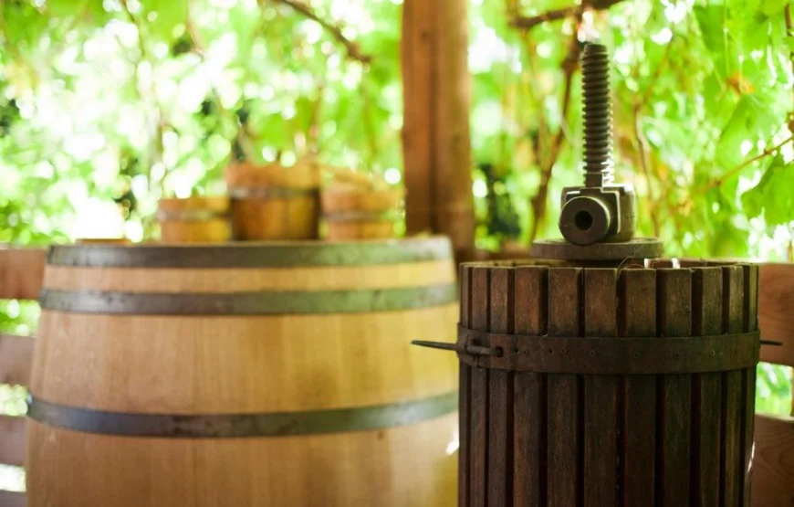 Guest house «Polychko Winehouse»