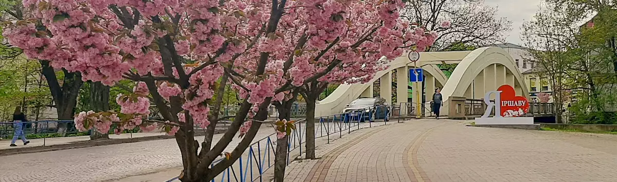 Іршавський район