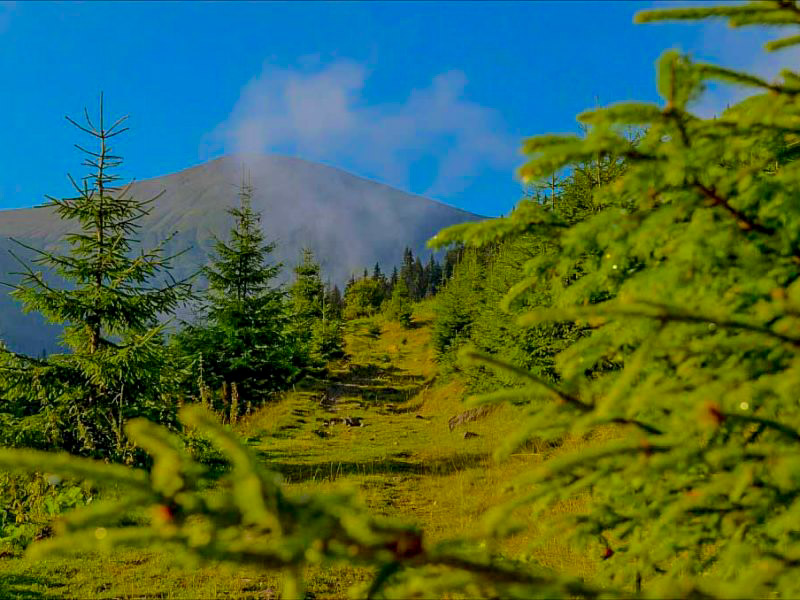 Гора Говерла влітку