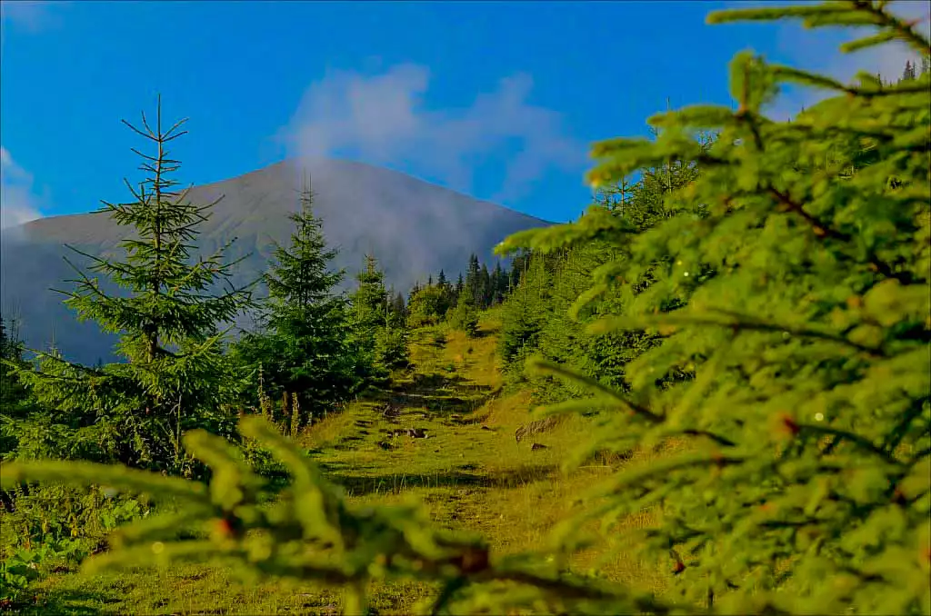 Гора Говерла влітку