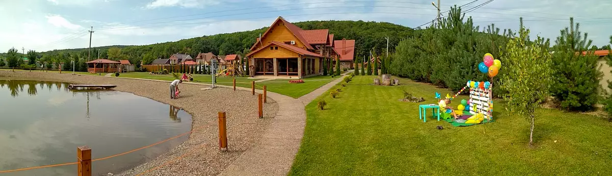 Садиби та котеджі у Виноградові