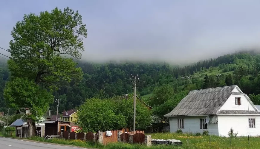 Приватний сектор у Микуличині