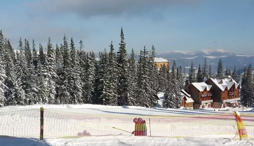 Садиби та котеджі у Драгобраті