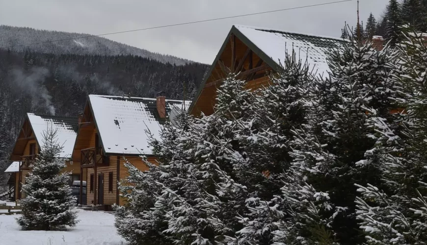 Садиби та котеджі у Микуличині
