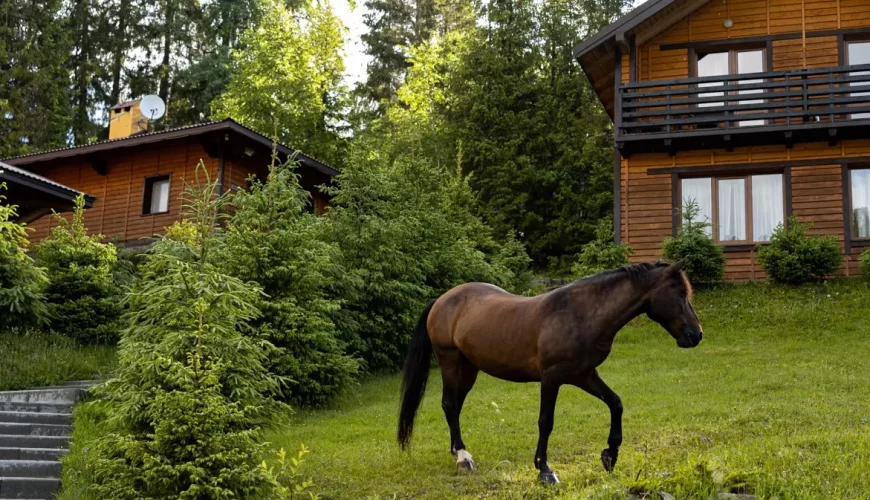 Будиночок у горах