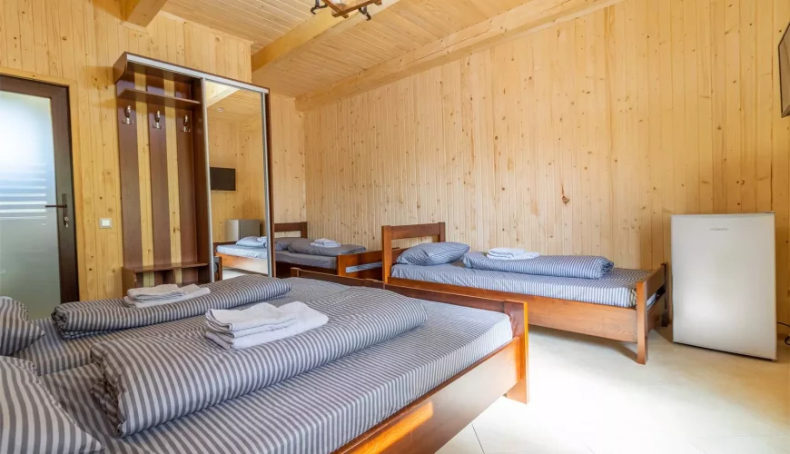 Делюкс 2+2 у готелі ПРАГА у Солотвино