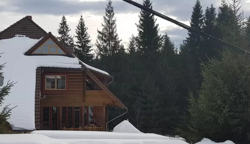 Котедж у лісі