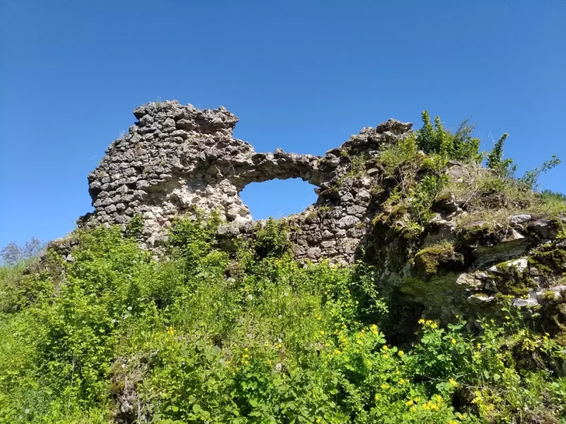 Руїни Квасівського замку