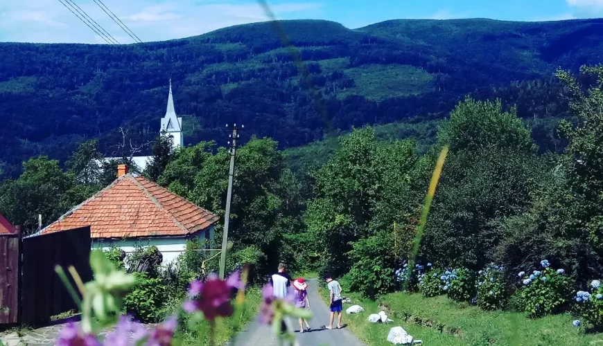 Відпочинок в Синяку