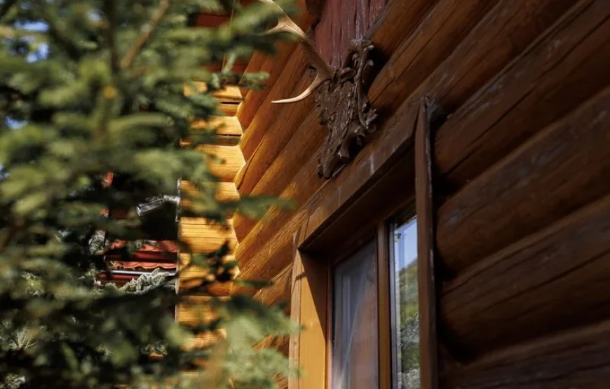 Готель «Лісова казка»