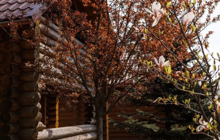 Готель «Лісова казка»