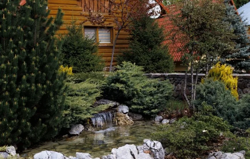 Готель «Лісова казка»