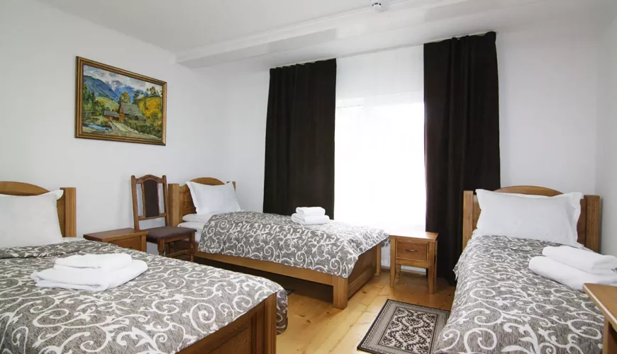 Тримісний номер у готелі "Kolochava" (Колочава)