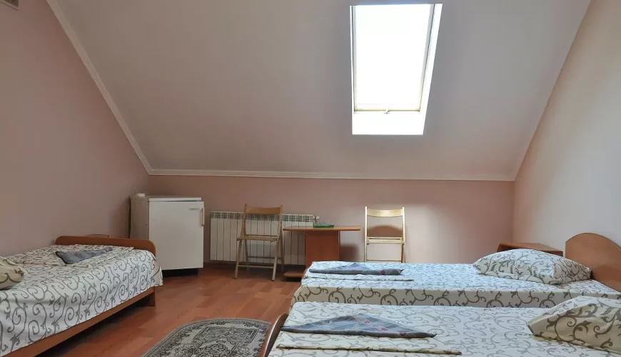 Двомісний номер у готелі "Аполлон" (Мукачево)