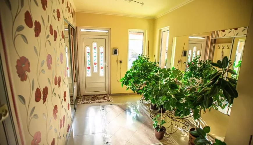 Апартаменти у садибі "Лізак" в Берегові