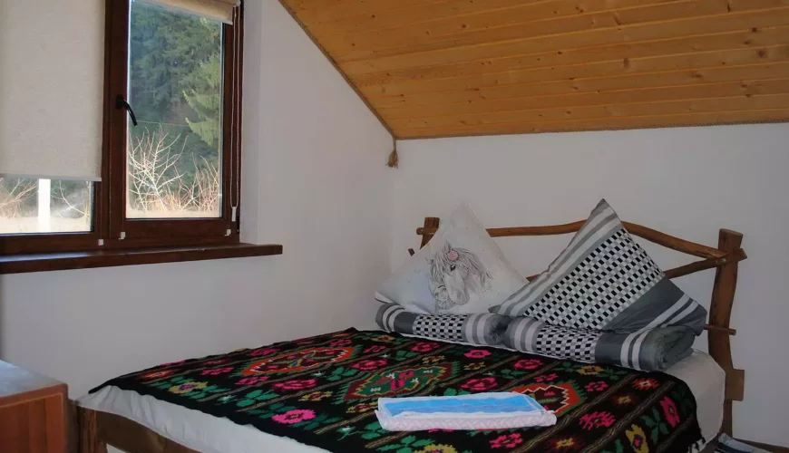 Будинок на 8 осіб у садибі «Лісова хатина-ЧАН» в Соймах