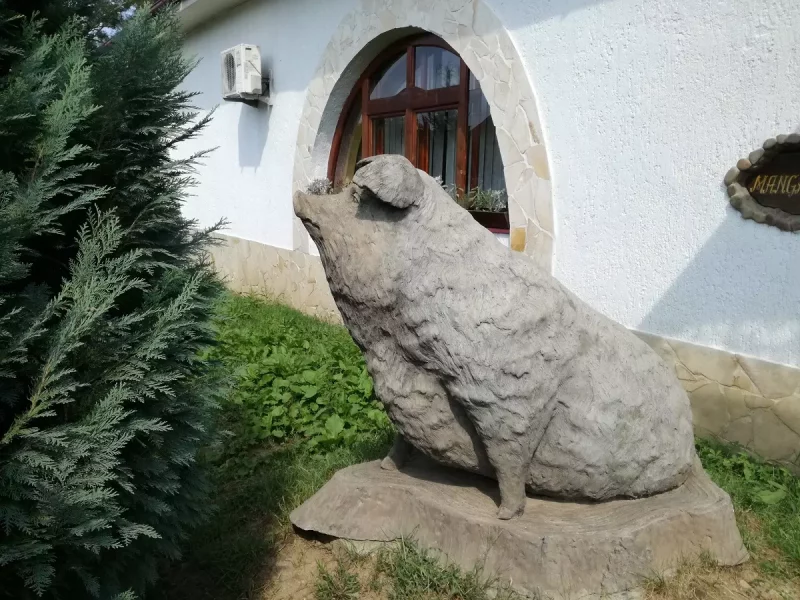 Музей леквару в селі Ботар
