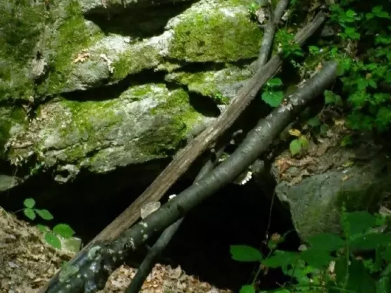 Печера тамплієрів у Виноградові
