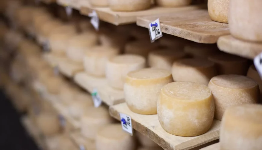 Сироварня в Нижньому Селищі