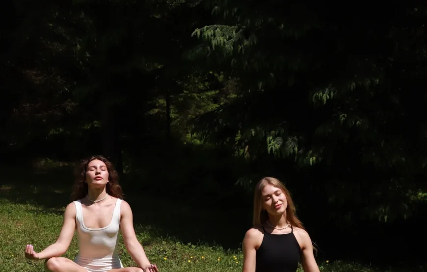 Маєток «Ліс і Гори»