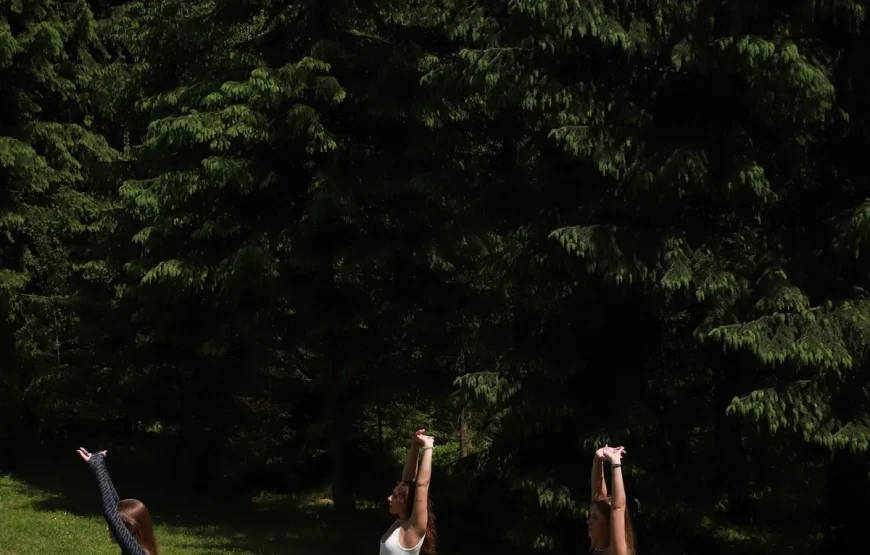 Маєток «Ліс і Гори»