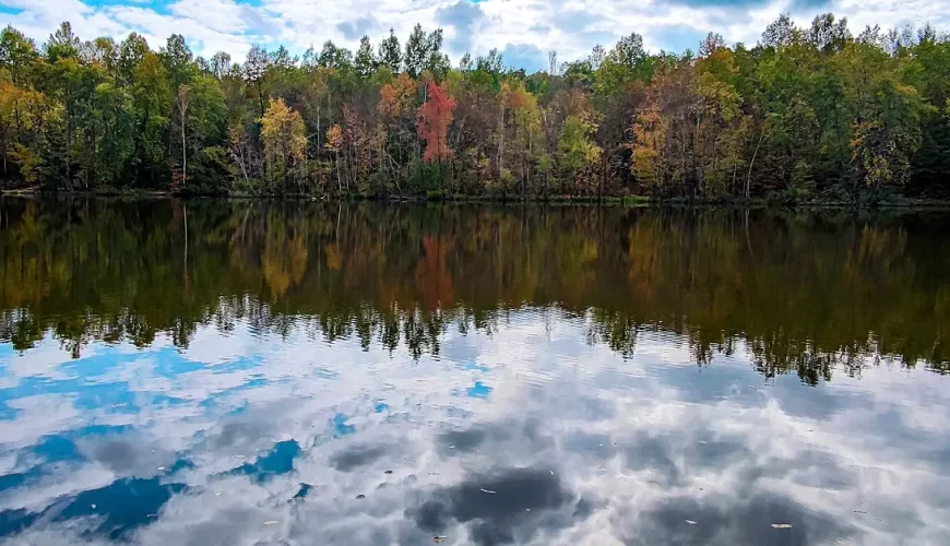 Лісове озеро в Моршині