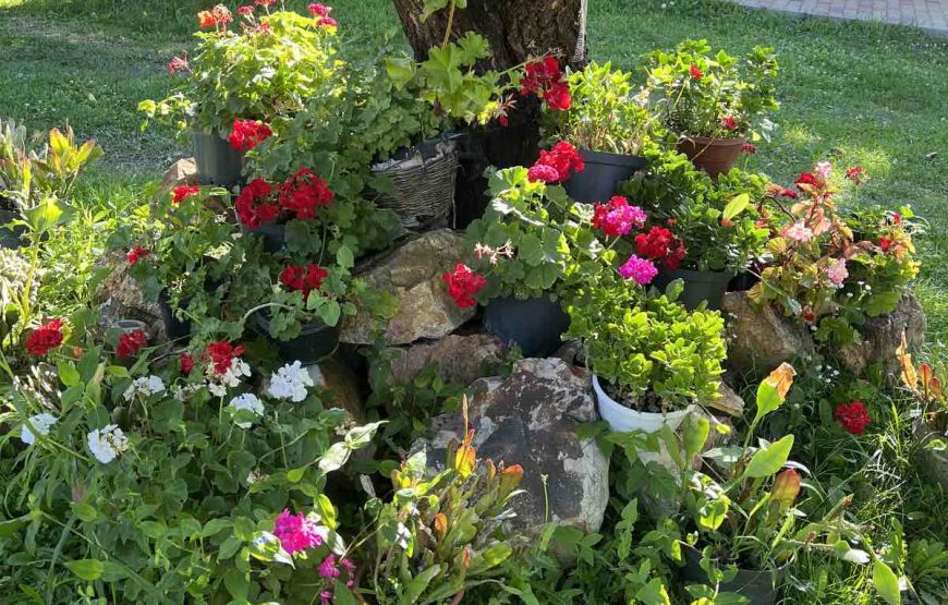 Вілла «Писанка»