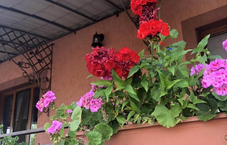 Вілла «Писанка»