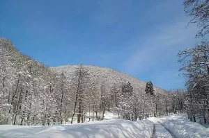 Краєвид села Осій взимку