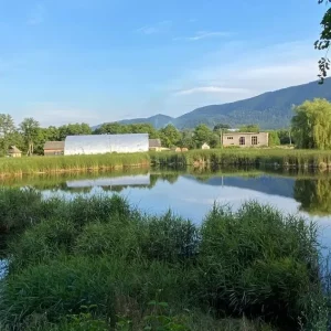 Косівське міське Банське озеро