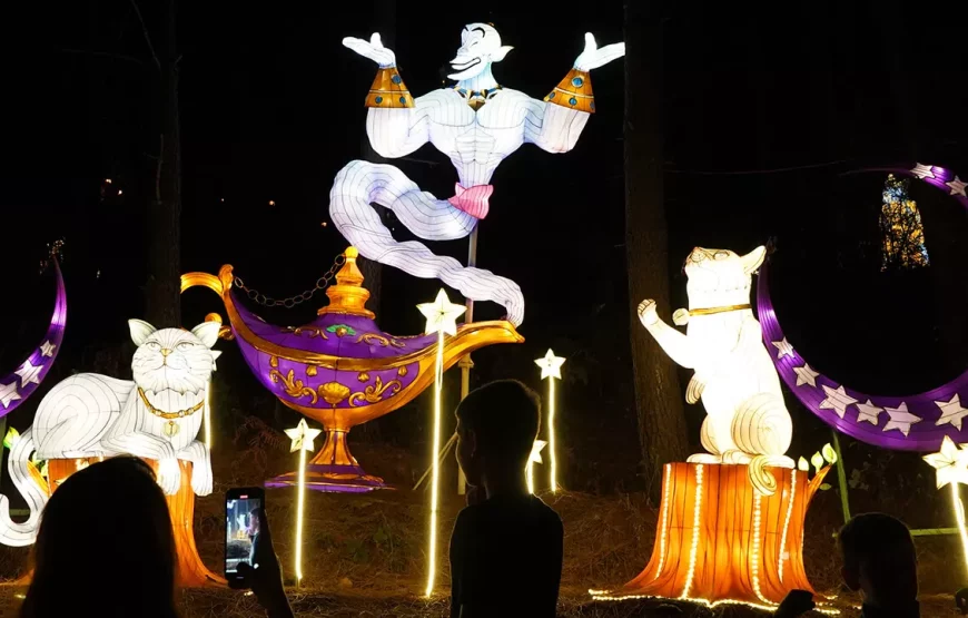 Specially for the Independence Day: a festive programme in the Lights & Dreams light figure park