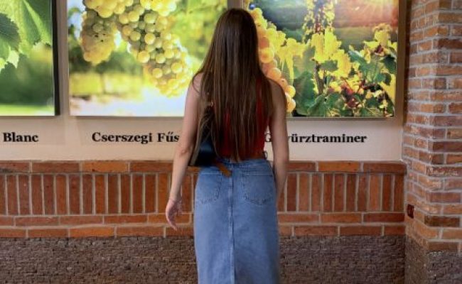 Музей винороба Чиза (2)