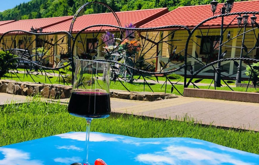 Готельно-ресторанний комплекс Michelle’s Travel House