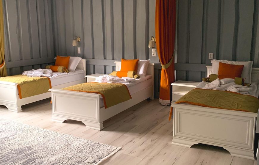 Готельно-ресторанний комплекс Michelle’s Travel House