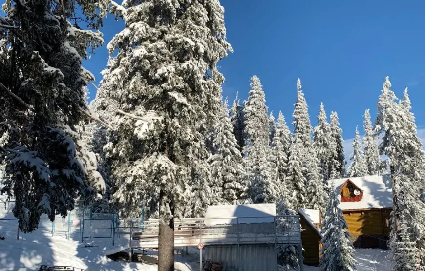 Готель “Міленіум”