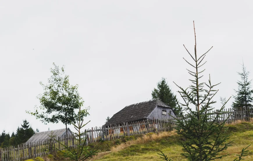 SPADOK Forest Villas — оренда будинку біля Синевиру на 10 осіб